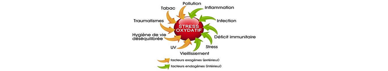 Stress oxydatif