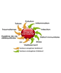 Stress oxydatif